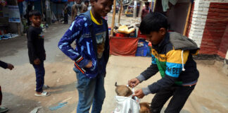 শখের চুরি