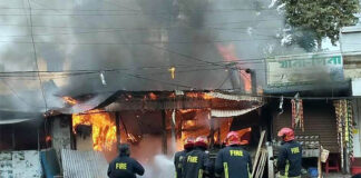 কুষ্টিয়া শহরে অগ্নিকান্ডে পুড়ল রেস্টুরেন্ট ও দোকান