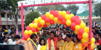 পিঠা উৎসব