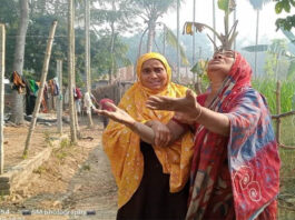 ভেড়ামারায় পানের বরজ ও ক্ষেতের ফসলে আগুন