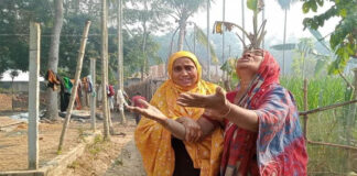 ভেড়ামারায় পানের বরজ ও ক্ষেতের ফসলে আগুন