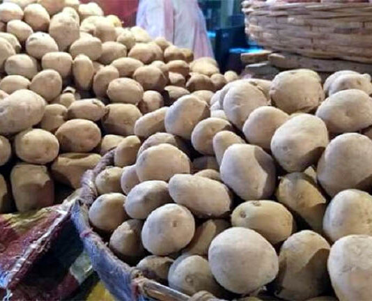 এবছর আলু ৫০ টাকার বেশি দরে কিনতে হবে