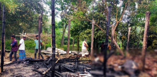 কুমারখালীতে আগুনে পুড়ল দিনমজুরের স্বপ্ন