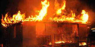 খোকসায় অগ্নিদগ্ধ হয়ে দুই ছাগলের মৃত্যু, পুড়ে গেছে গৃহীনির সব