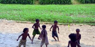 খেলার নাম কানামাছি