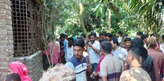 প্রবাসীর স্ত্রীকে জবাই করে হত্যা, পুত্রবধূ ছুরিকাহত