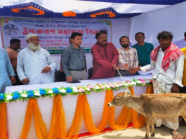 কুমারখালীর ১৬ মৎস্যজীবী পেলেন অনুদানের বাছুর গরু