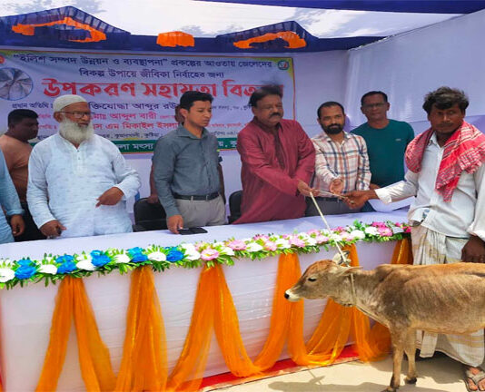 কুমারখালীর ১৬ মৎস্যজীবী পেলেন অনুদানের বাছুর গরু