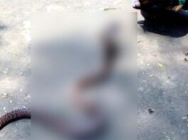 চিকিৎসায় বিলম্বে সাপেকাটা রোগীর মৃত্যুর অভিযোগ