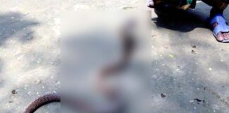 চিকিৎসায় বিলম্বে সাপেকাটা রোগীর মৃত্যুর অভিযোগ