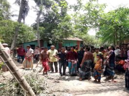 শৈলকুপায় বিদ্যুৎস্পৃষ্ট হয়ে লাইনম্যানের মৃত্যু