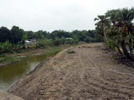 সরকারী জলাশয়ের মাটি কেটে জলাশয় ভরাট করছে আ’লীগ নেতার ছেলে