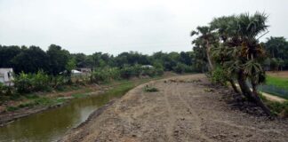 সরকারী জলাশয়ের মাটি কেটে জলাশয় ভরাট করছে আ’লীগ নেতার ছেলে