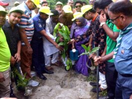 জারুলের চারা লাগানোর মধ্যদিয়ে বিক্ষরোপনের উদ্বোধন