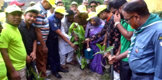 জারুলের চারা লাগানোর মধ্যদিয়ে বিক্ষরোপনের উদ্বোধন