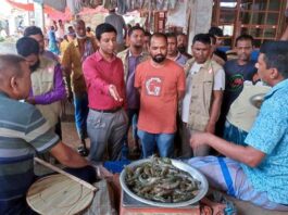 জেলি মিশ্রিত চিংড়ি বিক্রিঃ ব্যবসায়ীকে ৫ হাজার টাকা জরিমানা