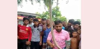 রাসেল ভাইপারকে ফাঁসি দিল গ্রামবাসী
