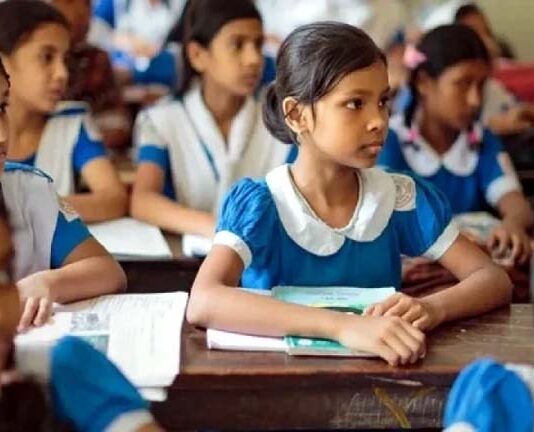 রবিবার প্রাথমিক বিদ্যালয়ের শ্রেণি কার্যক্রম শুরু, ১২ সিটি ও নরসিংদী পৌর ছাড়া