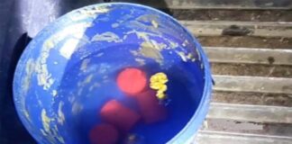 বালু মহলে দুর্বৃত্তদের হানাঃ ৫ ককটেল উদ্ধার করলো পুলিশ