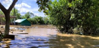 বন্যায় মৃতের সংখ্যা বেড়ে ৫৪ জনে দাঁড়িয়েছে : ত্রাণ মন্ত্রণালয়