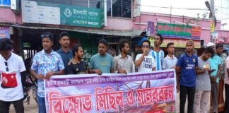 খোকসায় সেতুর টোল আদায় বন্ধের দাবিতে মানববন্ধন