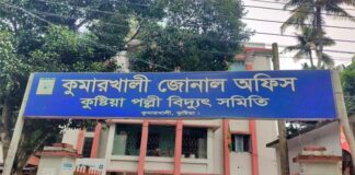 পল্লী বিদ্যুতের সরঞ্জাম সরবরাহ বন্ধে গ্রাহক ভোগান্তি চরমে