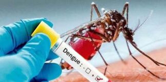 ডেঙ্গুতে একদিনে আরও ছয়জনের মৃত্যু, শনাক্ত হাজার ছুঁইছুঁই