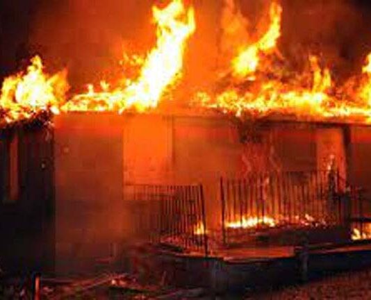 খোকসায় আগুনে পুড়ে কৃষকের দুই গরুর মৃত্যু