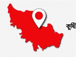 বিলে বেড়াতে গিয়ে পানিতে ডুবে ফুফু-ভাতিজির মৃত্যু