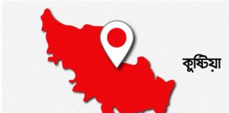 বিলে বেড়াতে গিয়ে পানিতে ডুবে ফুফু-ভাতিজির মৃত্যু