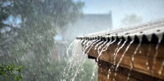 বঙ্গোপসাগরে লঘুচাপের ফলে বাড়তে পারে বৃষ্টি