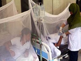 ডেঙ্গুতে ২৪ ঘন্টায় আরও ৮ জনের মৃত্যু হয়েছে