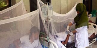 ডেঙ্গুতে ২৪ ঘন্টায় আরও ৮ জনের মৃত্যু হয়েছে