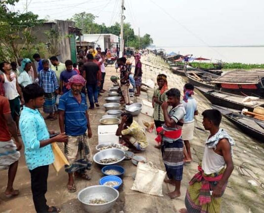 পদ্মা তীরে বিক্রয়কেন্দ্র না থাকায় মাছের ন্যায্য দাম পায় না মৎস্যজীবীরা