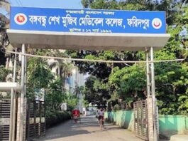 ফরিদপুরে পুজা দেখে বাসায় ফিরে দুই কলেজ ছাত্রীর মৃত্যু