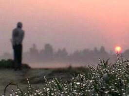 আজও বৃষ্টি থাকতে পারে, শীতের বার্তা দিলো আবহাওয়া অধিদপ্তর