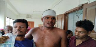 খোকসায় গাছের ডাল কাটা কেন্দ্র করে হামলায় পাঁচজন আহত