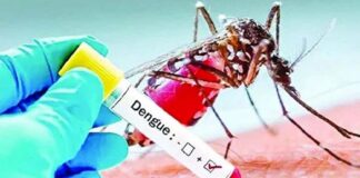 দেশে দশ মাসে ডেঙ্গুতে ৩০০ জন মারা গেছেন