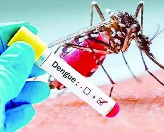 দেশে দশ মাসে ডেঙ্গুতে ৩০০ জন মারা গেছেন