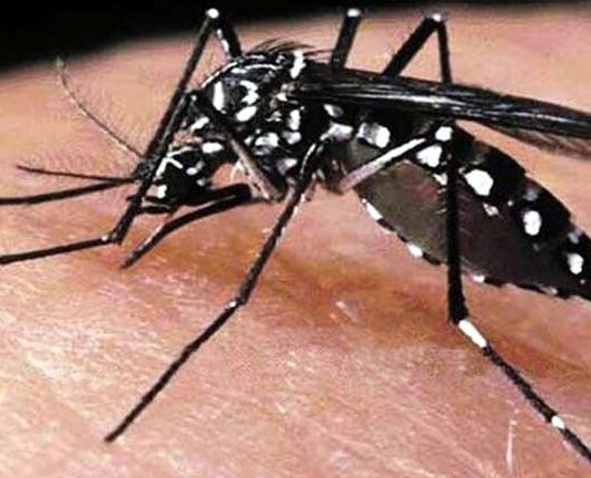 ডেঙ্গুতে ২৪ ঘন্টায় ১০ জন মারা গেছেন