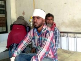 চালকের চোখে মরিচের গুড়া ছিটিয়ে গরু ডাকাতির