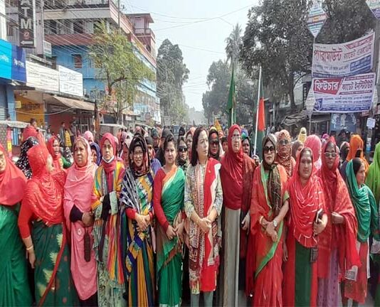 ঝিনাইদহ বিজয় দিবসে বর্নাঢ্য আয়োজন