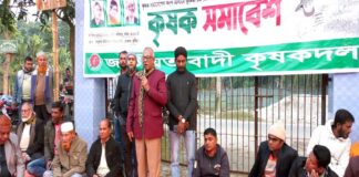খোকসায় কৃষক সমাবেশ অনুষ্ঠিত