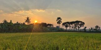 দুনিয়া কাঁপানো অভ্যুত্থানের বছর ২০২৪