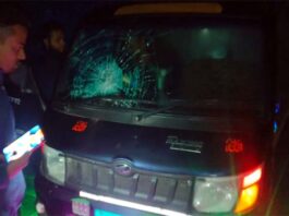 কুষ্টিয়ায় মরিচের গুড়া ছিটিয়ে ৫ গরু ডাকাতি