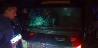 কুষ্টিয়ায় মরিচের গুড়া ছিটিয়ে ৫ গরু ডাকাতি