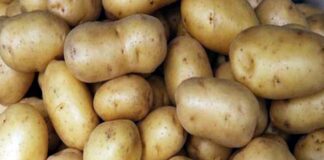 ভারত থেকে আলু এলো সাড়ে ২৭ টাকা কেজি দরে