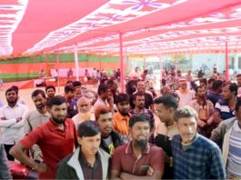 খোকসায় সারের দাবিতে কৃষকদের বিক্ষোভ