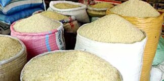 কুষ্টিয়ার মোকামে দফায় দফায় বাড়ছে চালের দাম