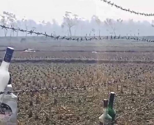 সীমান্তের কাটাতারের বেড়ায় মদের বোতল ঝুলিয়েছে বিএসএফ